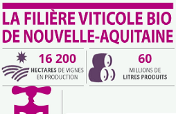 Etude sur la viticulture bio en Nouvelle-Aquitaine