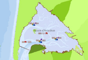 Levée de l’interdiction de pêche et de consommation des huîtres du Bassin d’Arcachon