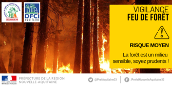 Retour en vigilance jaune pour le risque feux de forêt en Gironde