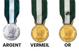 médailles d'honneur régionale départmentales communale - illustration