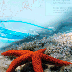  Consultation publique sur le Plan d'Action pour le Milieu Marin de la sous-région marine golfe de Gascogne du 22 août au 21 novembre 2014 
